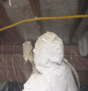  NV crawl space insulation
