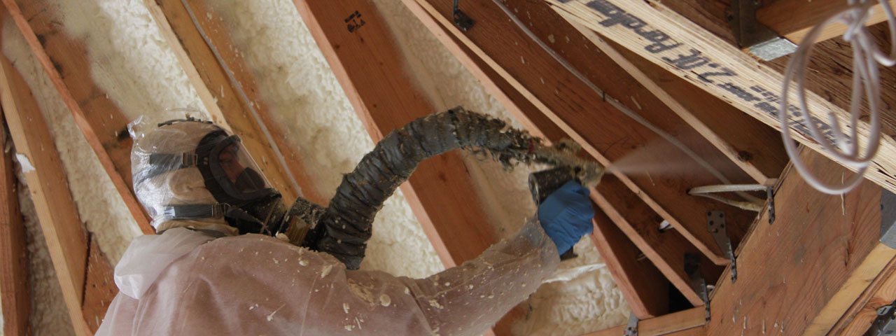  Nevada Attic Insulation Spray Foam